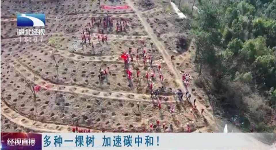 CA88(中国区)官方网站入口