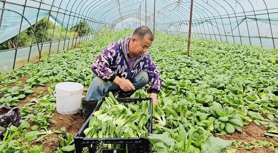 CA88(中国区)官方网站入口