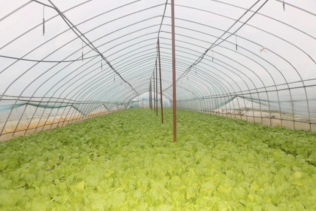 CA88(中国区)官方网站入口